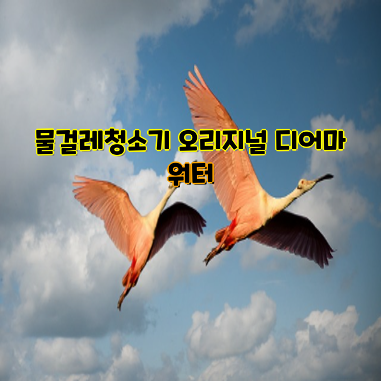 이미지